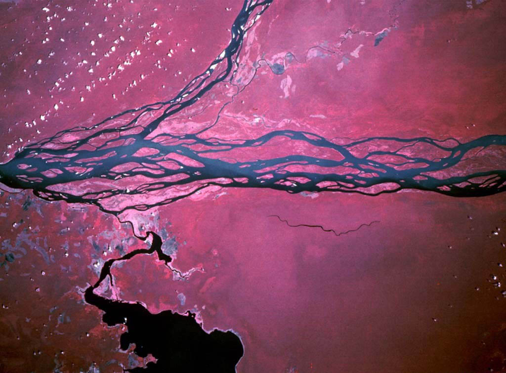 12earthsp18.jpg