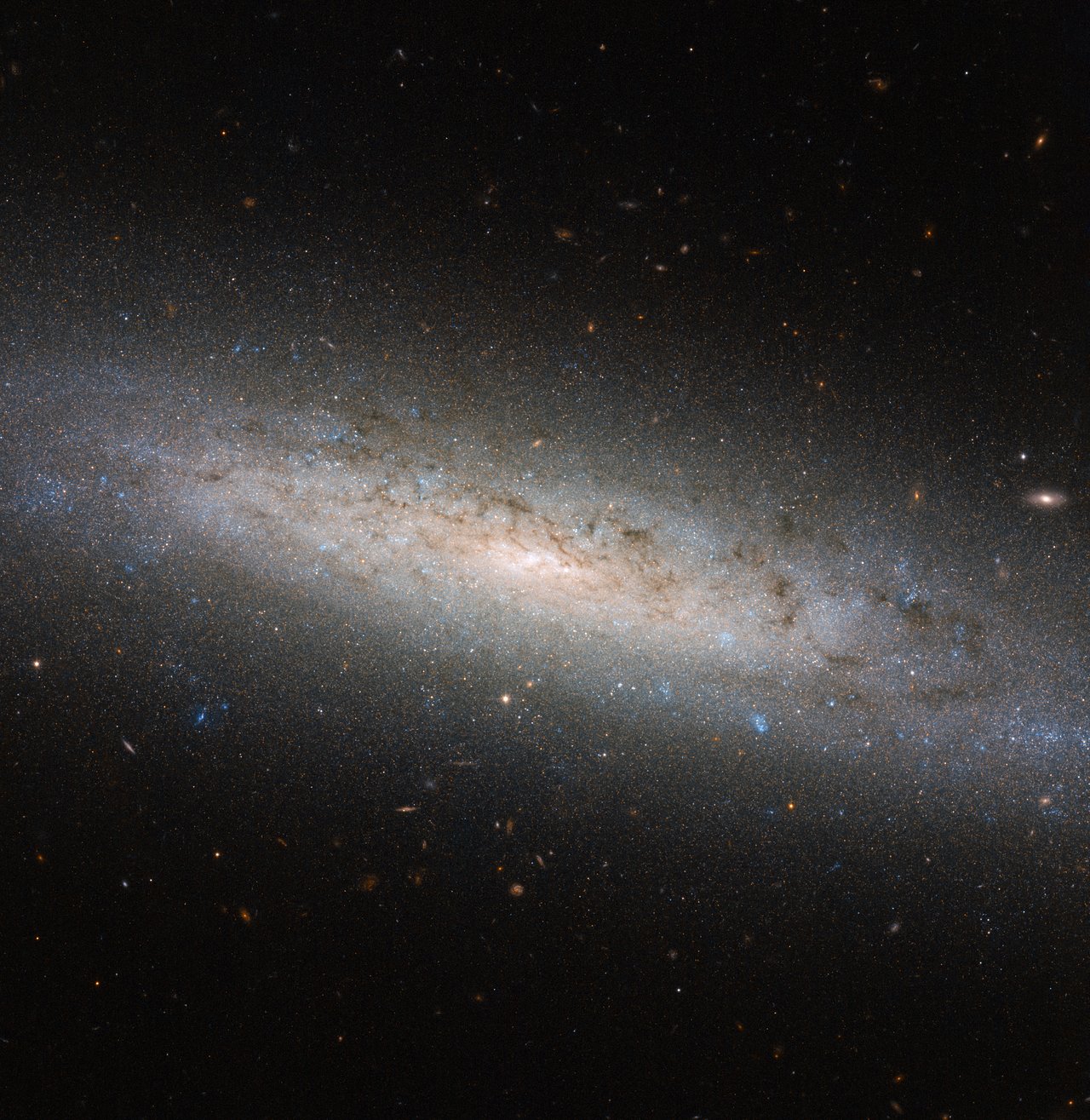 potw1639a-1.jpg