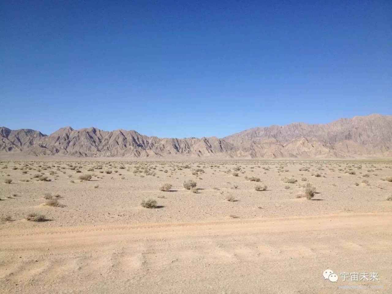 DSC0000.jpg