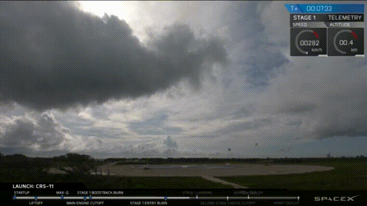 DSC0007.gif