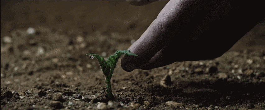 DSC0002.gif