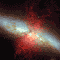 m82irr.gif