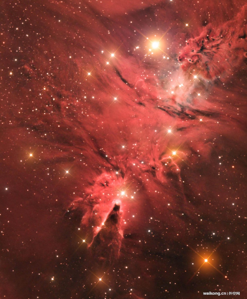 20456492_980x1200_0.jpg
