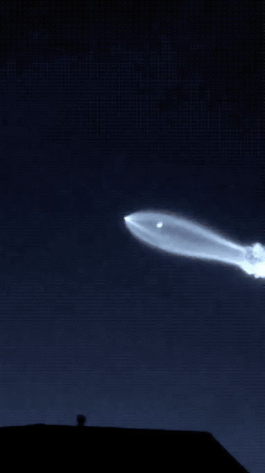 DSC00010.gif