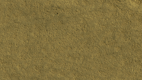 DSC0000.gif