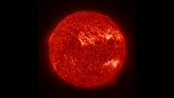 DSC0000.gif