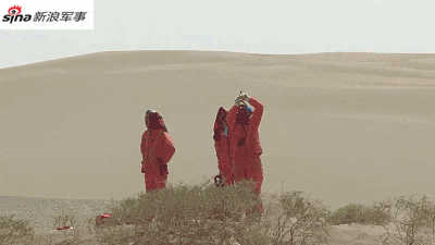 DSC0008.gif