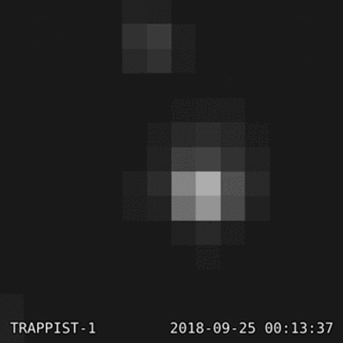 DSC0001.gif