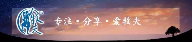 土卫二上可能存在生命吗？-1.jpg