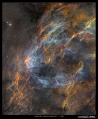 天鹅座壳状超新星遗迹W63