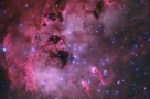 IC 410内的蝌蚪