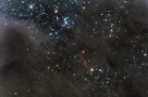 蝘蜓座II号暗星云