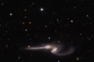 NGC 4676：双鼠星系