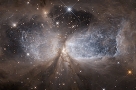 恒星形成区S106