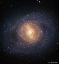 M95：带内环的旋涡星系