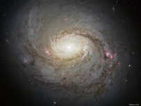 Hubble image of Messier 77