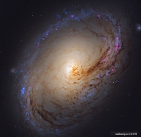 哈勃太空望远镜拍摄的M96
