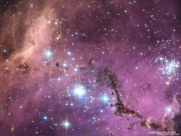 N11：大麦哲伦星系内的星云
