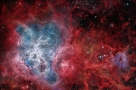 蜘蛛星云的宇宙网