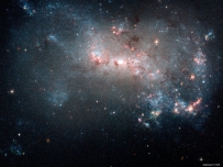 Stellar fireworks are ablaze in galaxy NGC 4449