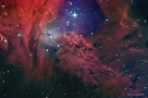 狐皮星云