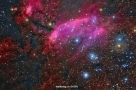 IC 4628: 斑节虾星云