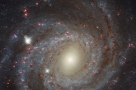 NGC 3344的正面