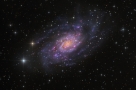 鹿豹座中的NGC 2403