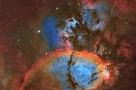 IC 1795：鱼头星云
