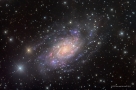 鹿豹座内的NGC 2403