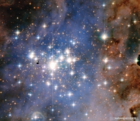 哈勃望远镜拍摄的年轻星团特朗普勒14