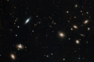 在后发座星系团内