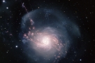 NGC 3310:星暴旋涡星系