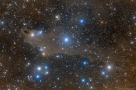 鲨鱼星云