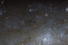 这张图像显示一个螺旋星系NGC 247的中心区域。