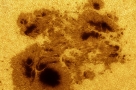 AR 2192: 太阳的庞大黑子群