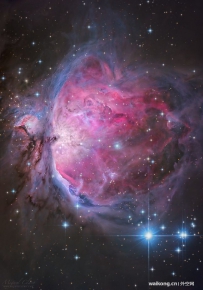 最佳太空图片：壮观华丽的猎户星云