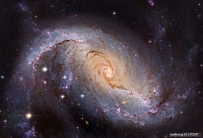 NGC 1672：哈勃望远镜拍摄的棒旋星系