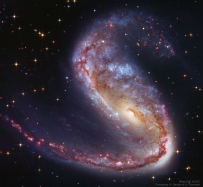 NGC 2442：飞鱼座中的星系