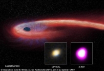 神秘黑洞持续十年时间吞噬邻近一颗恒星
