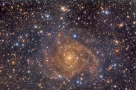 隐密星系IC 342