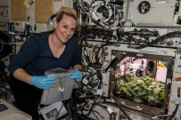 NASA收获史上首批“太空萝卜”