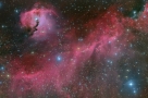 海鸥星云