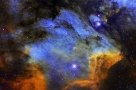 交织着云气、尘埃和恒星的鹈鹕星云
