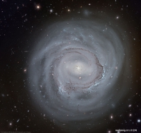 哈勃望远镜拍摄的苍白旋涡星系NGC 4921