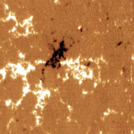 太阳磁区照片。黑色的是正极，白色的是负极。