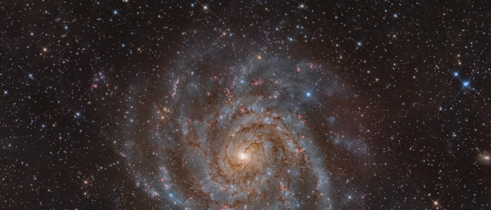 IC 342：卡梅洛帕达利斯的隐秘星系