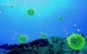 《宇宙与人》高清版[上]