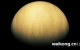金星