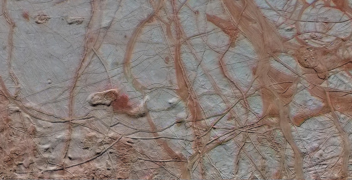 DSC0000.jpg